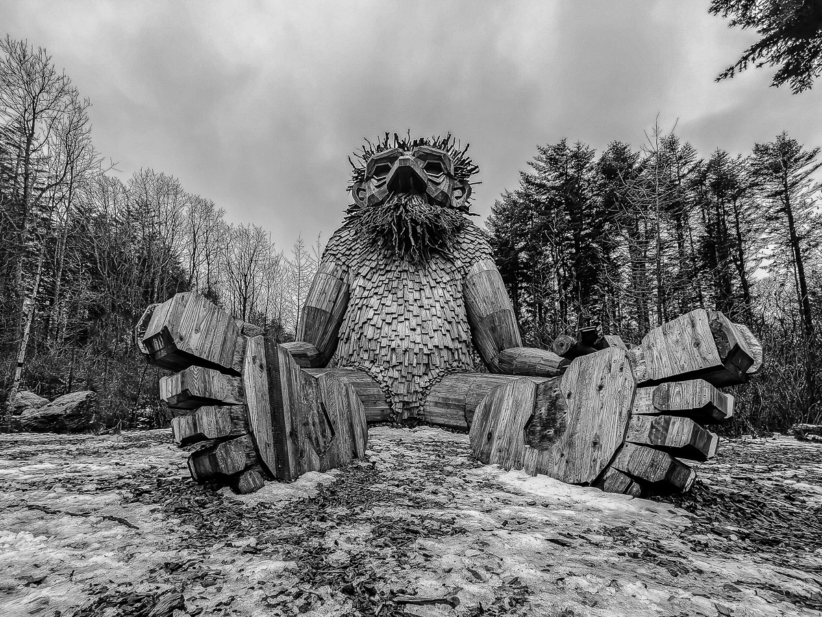 Månedens billeder februar- Naturen i Sort/Hvid