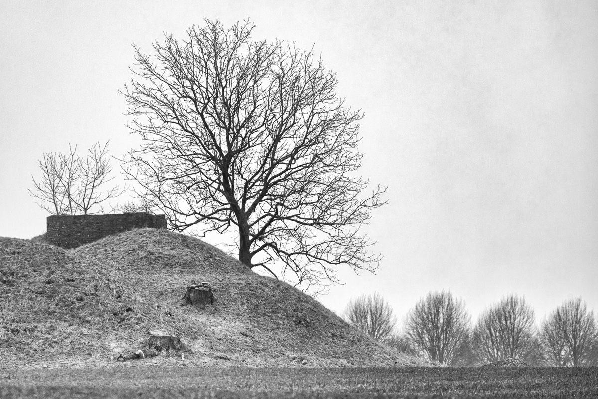 Månedens billeder februar- Naturen i Sort/Hvid